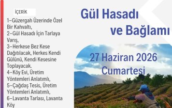 Burdur'da Gül Hasadı